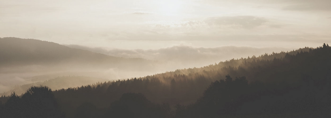 sepia image of landscape forest hills relaxing scene